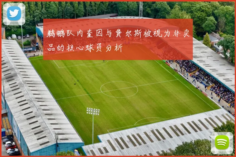 鹈鹕队内奎因与费尔斯被视为非卖品的核心球员分析